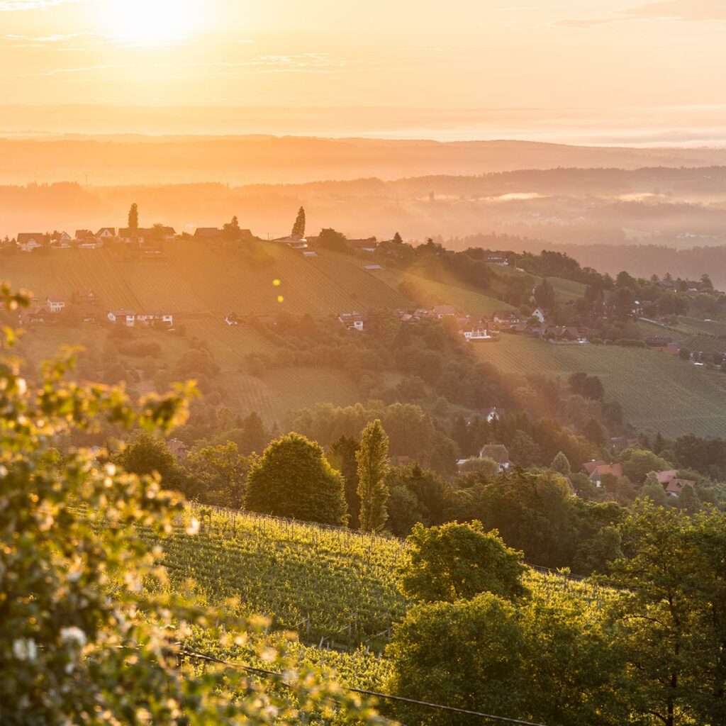 Steirerblicke- Frühling, Steiermark, Südsteiermark, Weinstraße