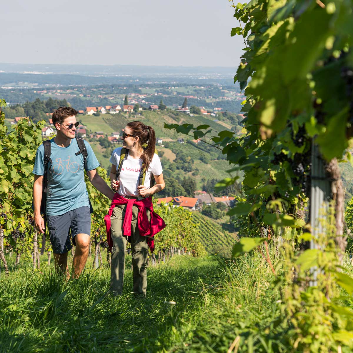 Wandern im Schilcherland: