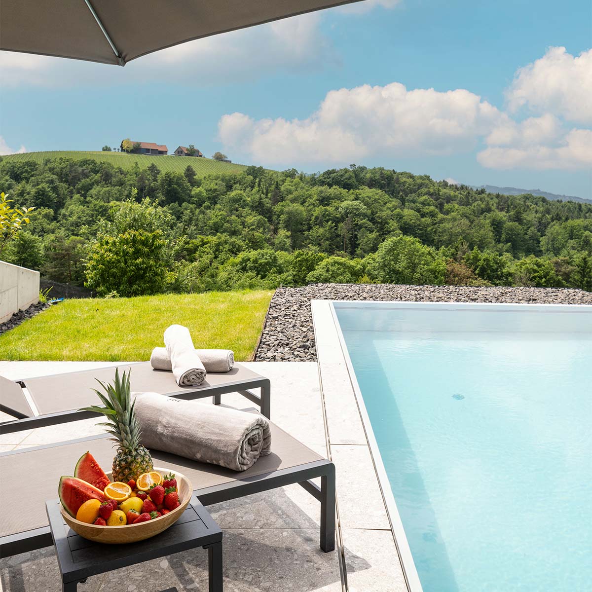 steirerblicke-luxus-ferienhaus-südsteiermark-ausblicke-weinberg-wald-pool-poolliegen-obstkorb