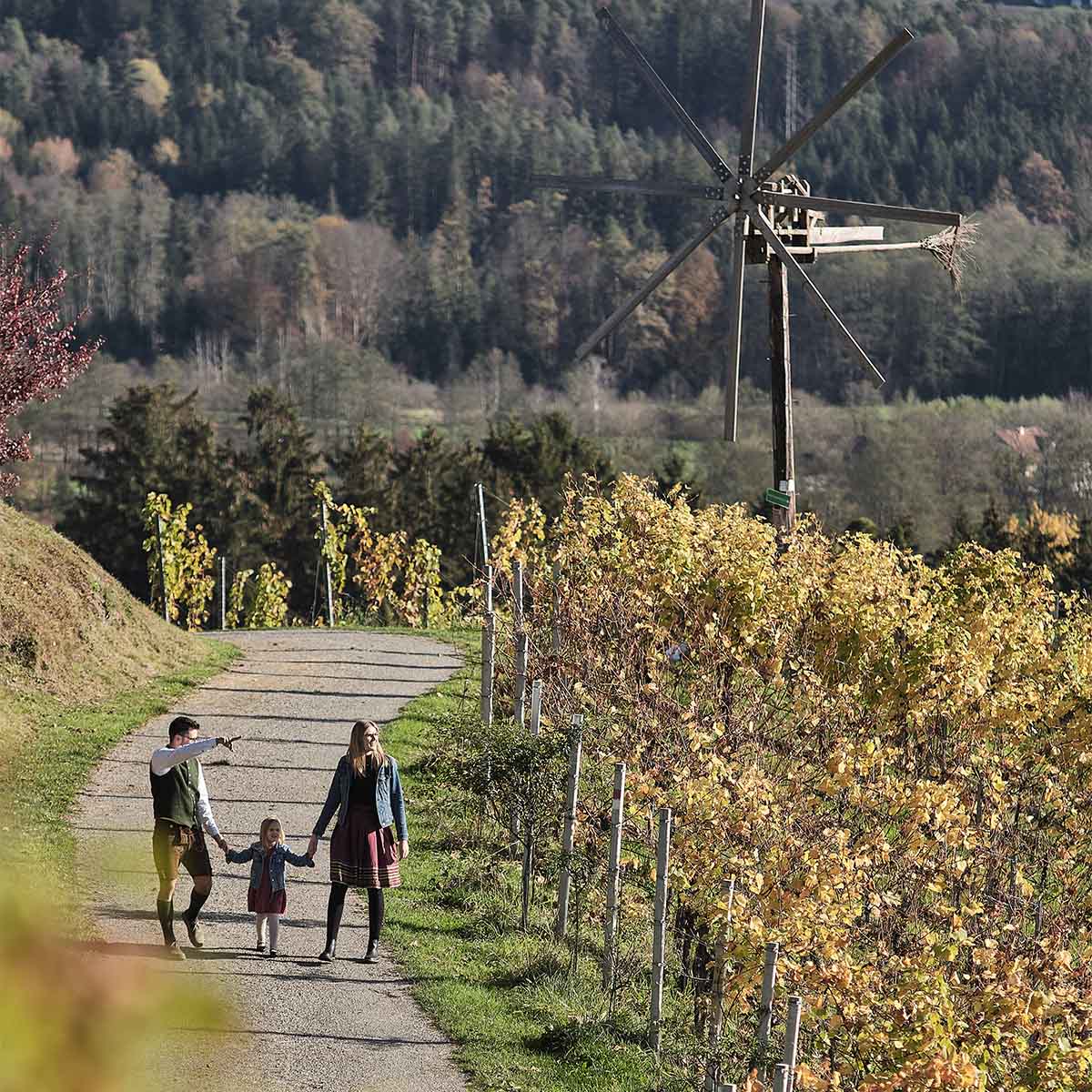 Steirerblicke - Urlaub Familie- Südsteiermark- Weinstraße