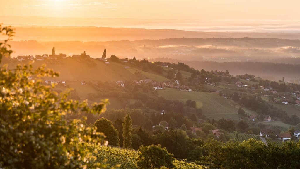 schilcherhaus-urlaub-steiermark-chalet-ausblick