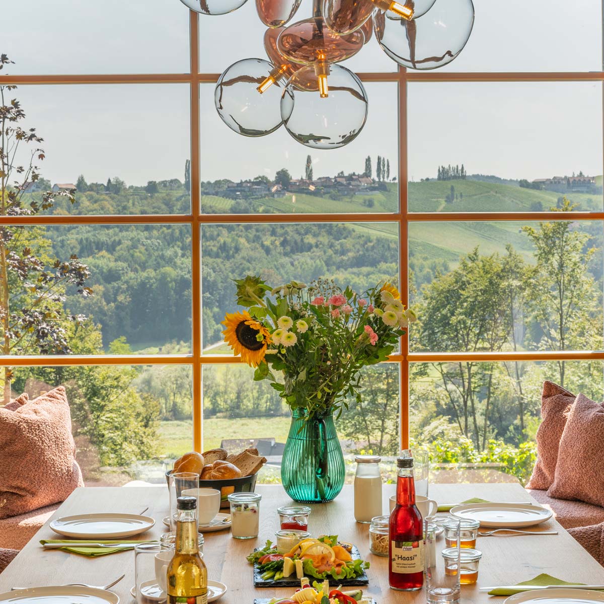 holiday home – breakfast delivery – South Styria – Domaine Sernau – view of the vineyards