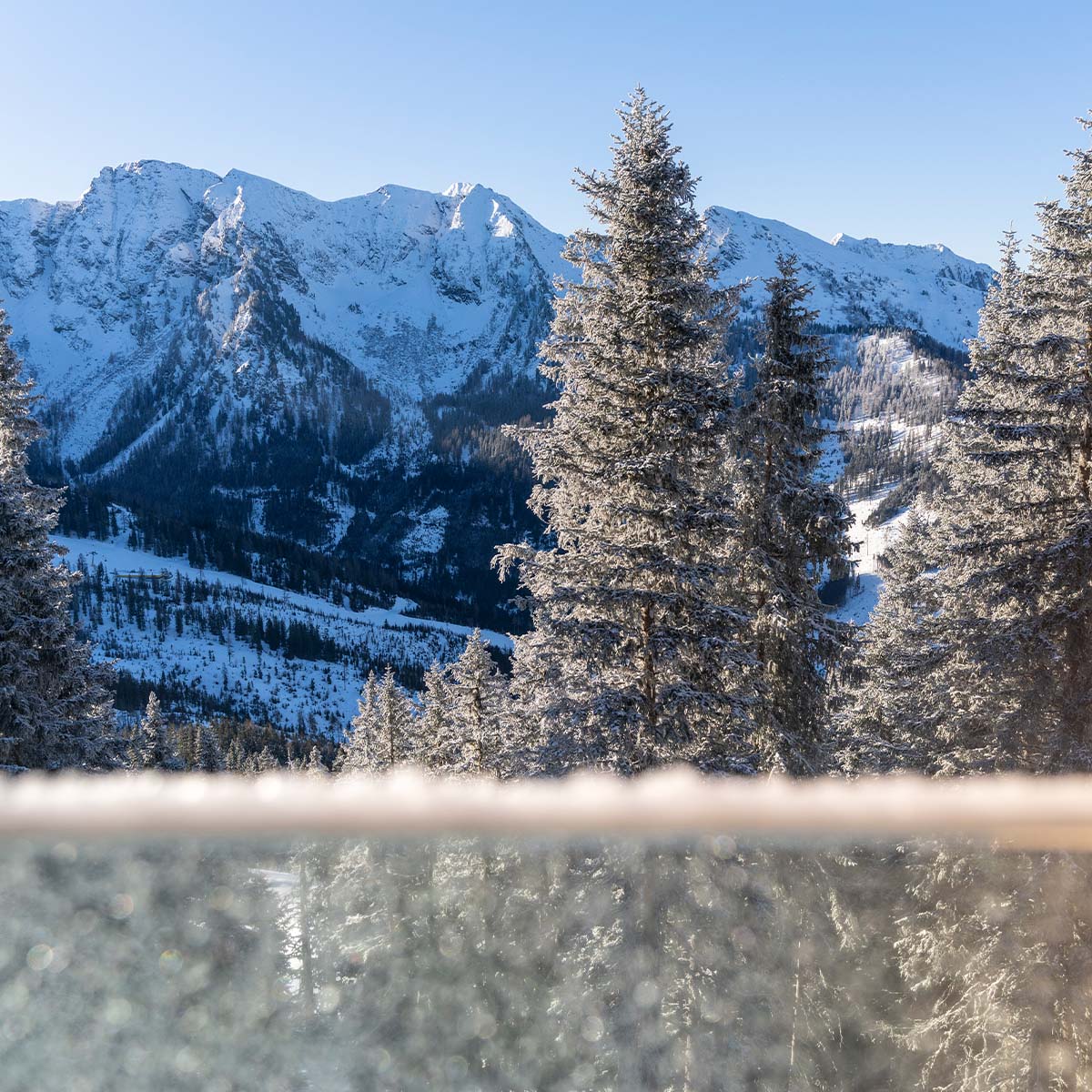 steirerblicke-huaser-kaibling-luxus-urlaub-am berggipfel-ausblick-auf-steirische-alpen