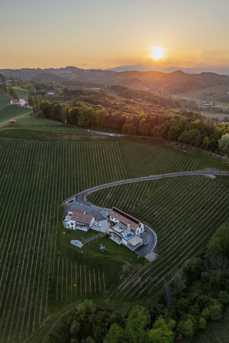 Domaine-Sernau-Areal-Weinberge