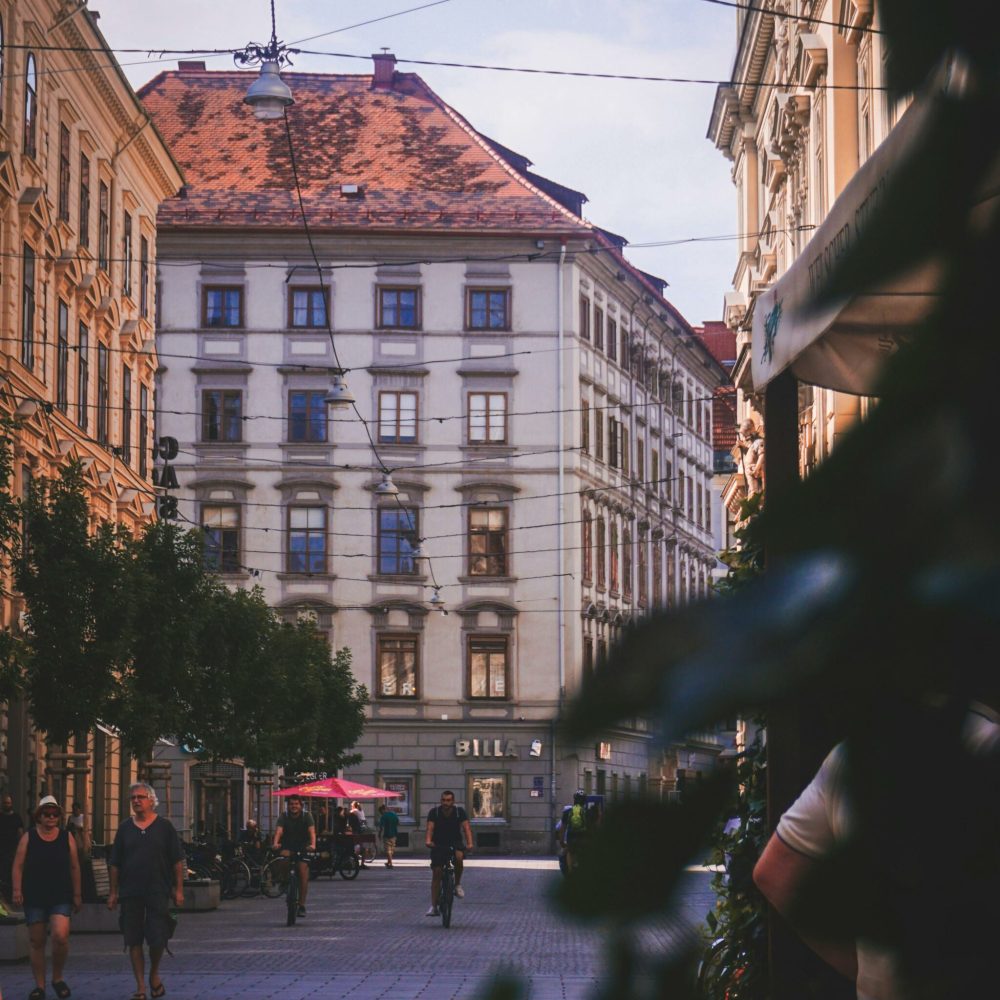 c_pexels-angelche-petrushevsk